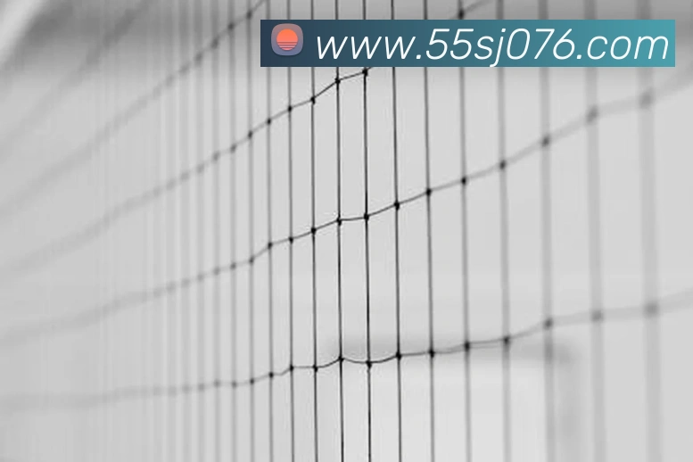 55世纪全站App